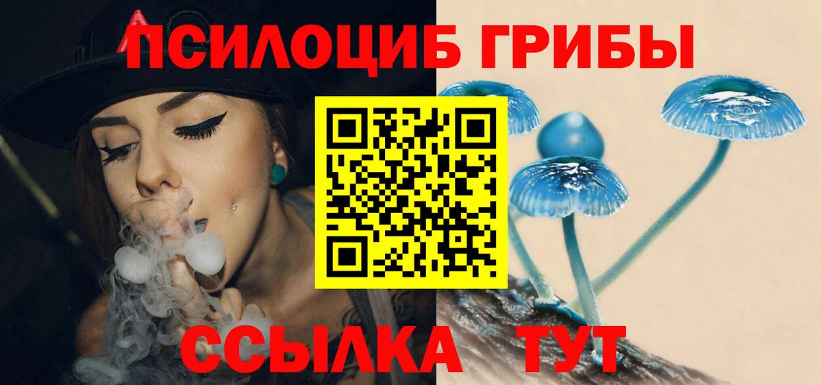 где продают наркотики  Вход с VPN  Кемерово  Псилоцибиновые грибы мицелий 